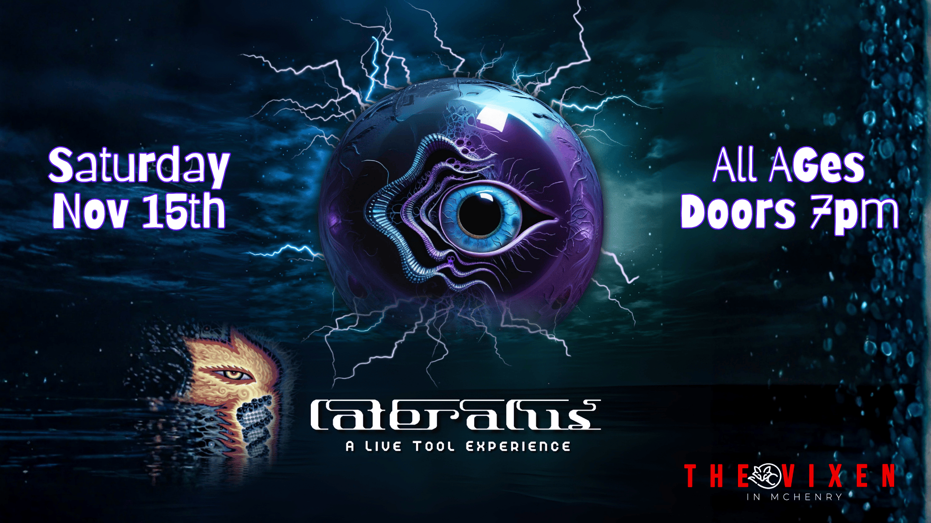 Lateralus tool tribute at the vixen mchenry nov 15